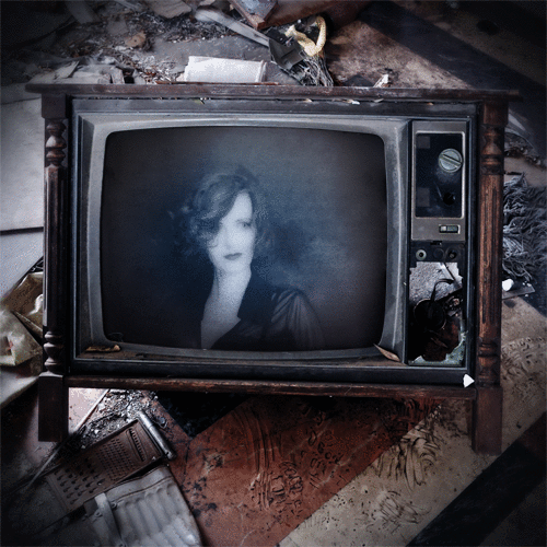 Christian Erdmann, Aljoscha der Idiot, Stimmen zum Buch (1).