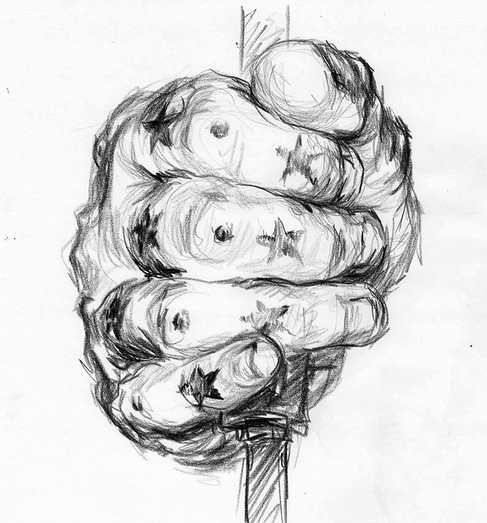 "Grip" (Mark Lanegan's Hand), Drawing by Paula K. Völker.