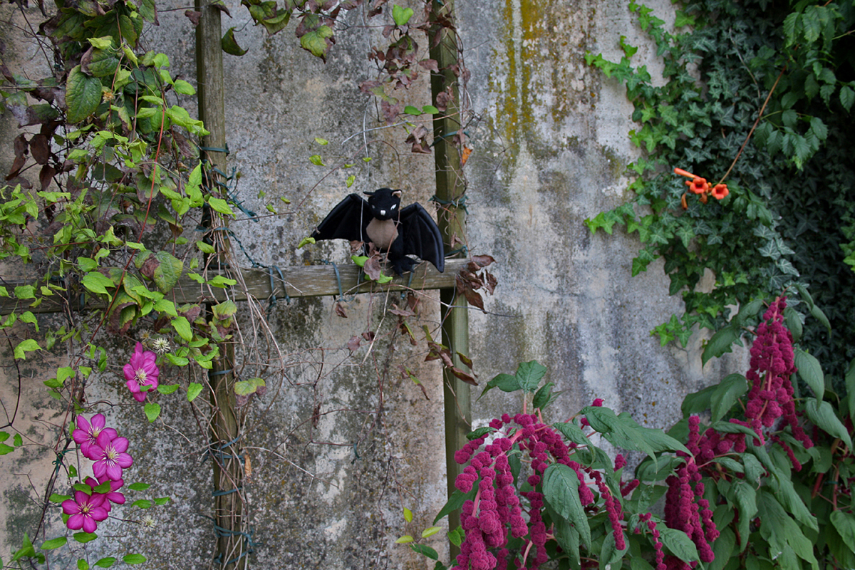 Salzburg, Mirabellgarten