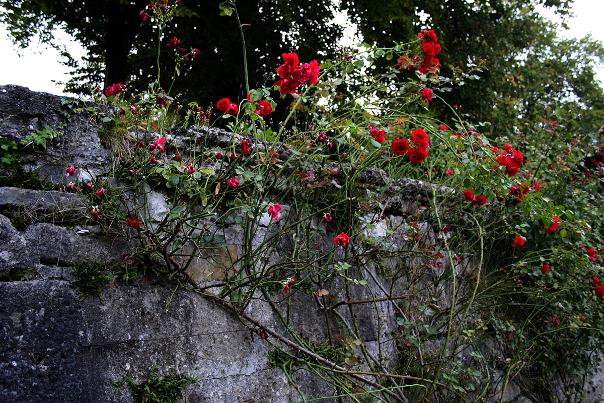 Salzburg, Mirabellgarten
