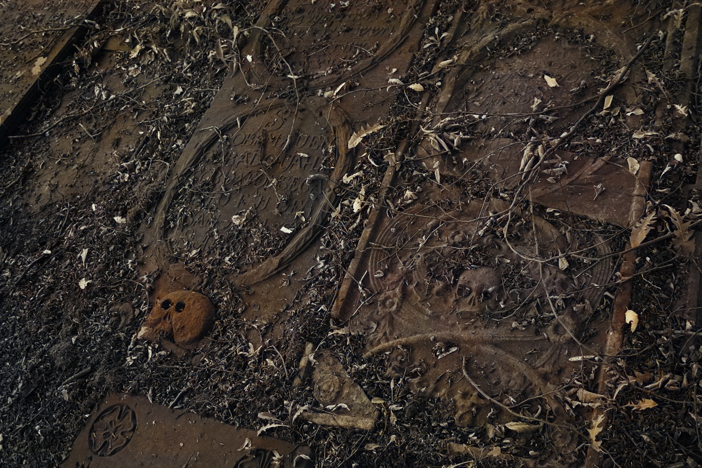 Jüdischer Friedhof Hamburg Altona.