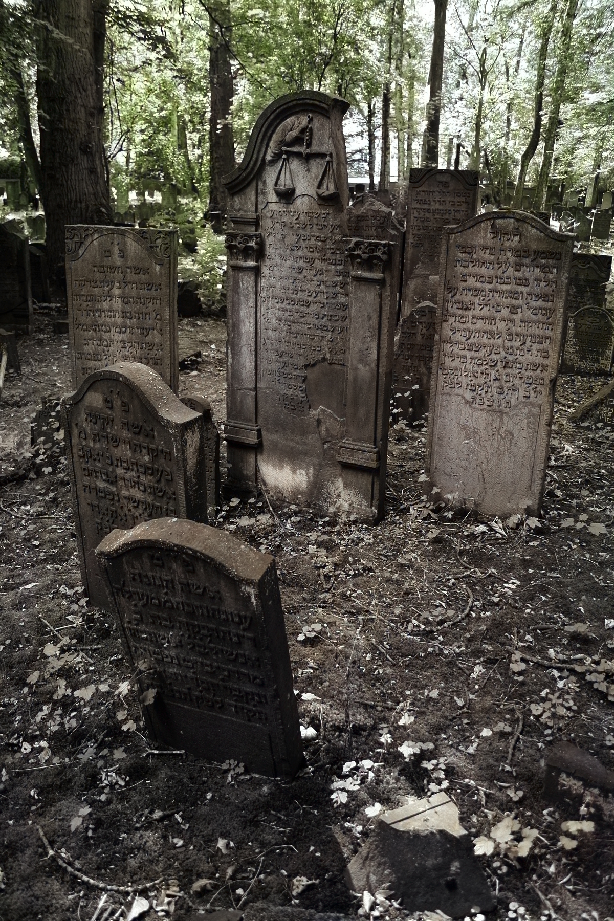 Jüdischer Friedhof Hamburg Altona.