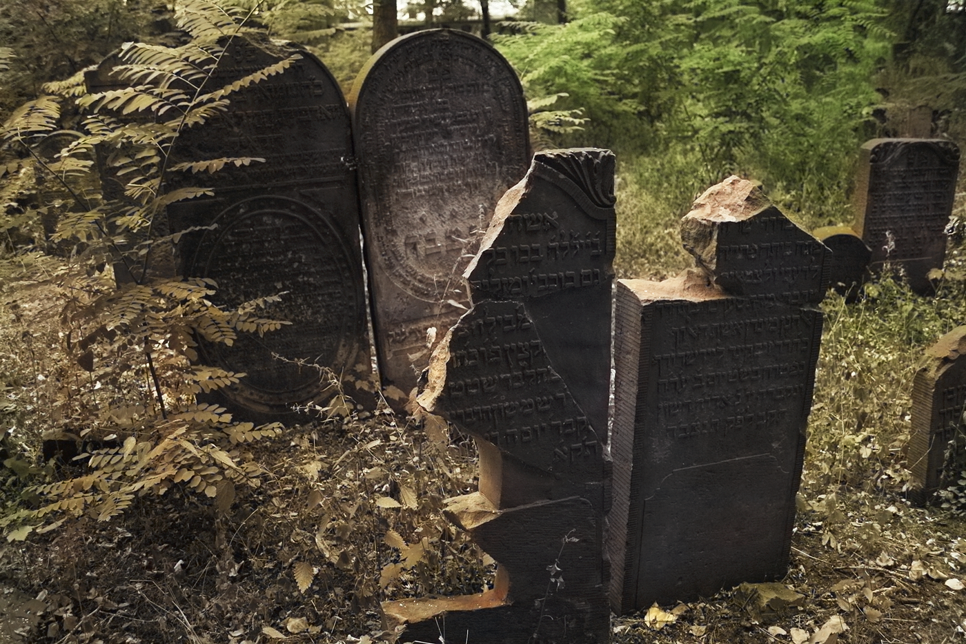 Jüdischer Friedhof Hamburg Altona.