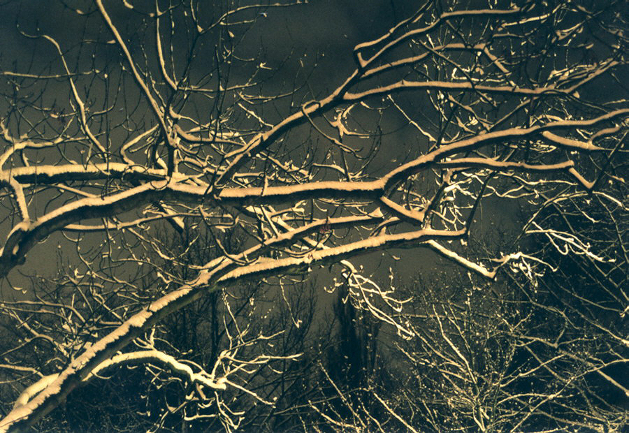 Today's Best Song Ever: U2 - New Year's Day. Bild: Winternacht von Christian Erdmann.