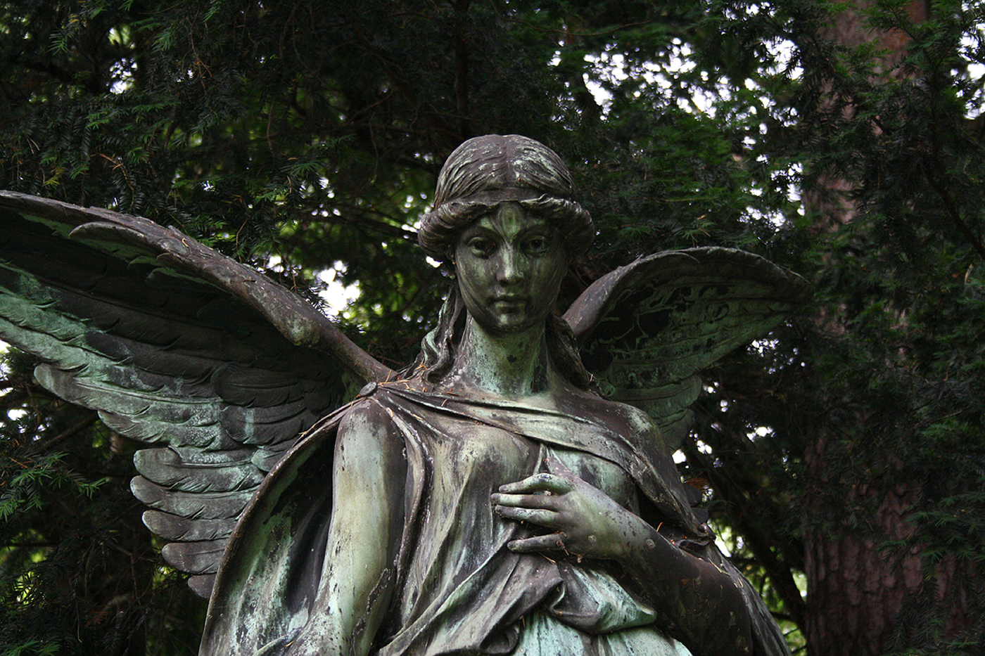 Friedhof Ohlsdorf, Hamburg. Ohlsdorf Cemetery. Engel.