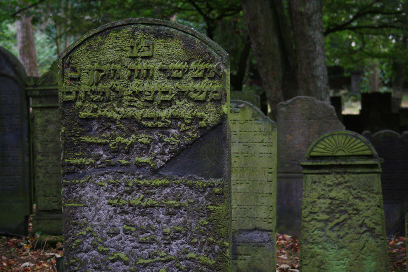 Jüdischer Friedhof Hamburg Altona.