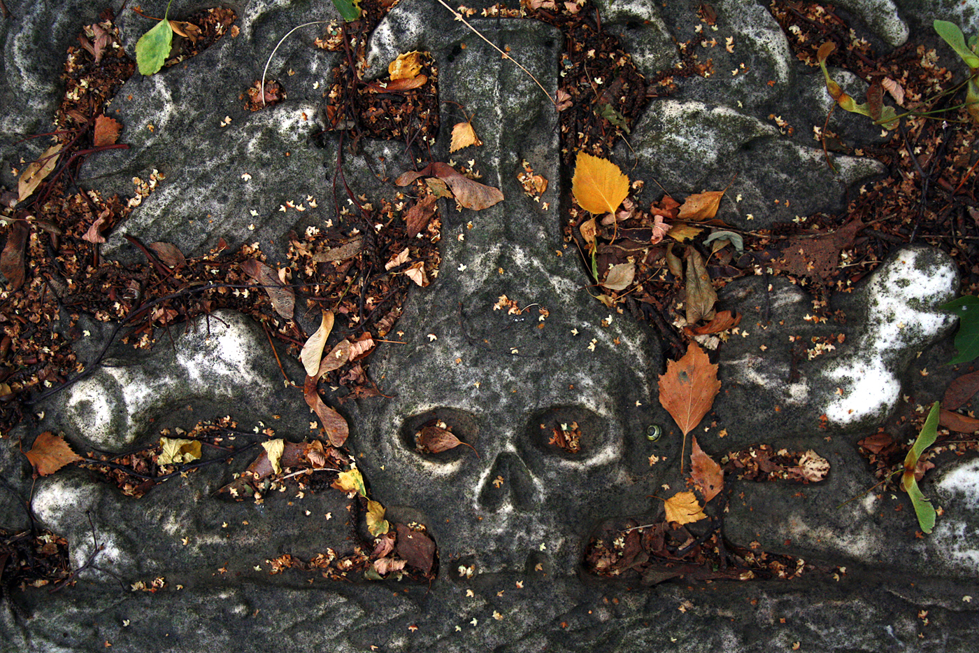 Jüdischer Friedhof Hamburg Altona.