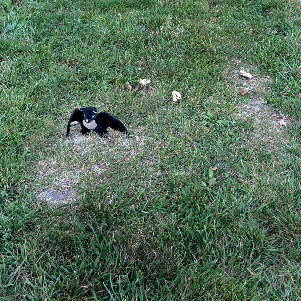 Cesky Krumlov. Krumau.