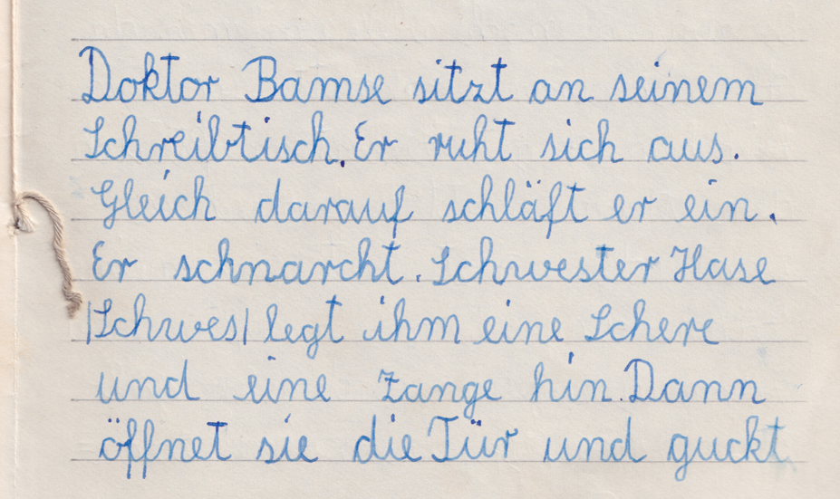 Doktor Bamse und Schwester Hase. Von Christian Erdmann.