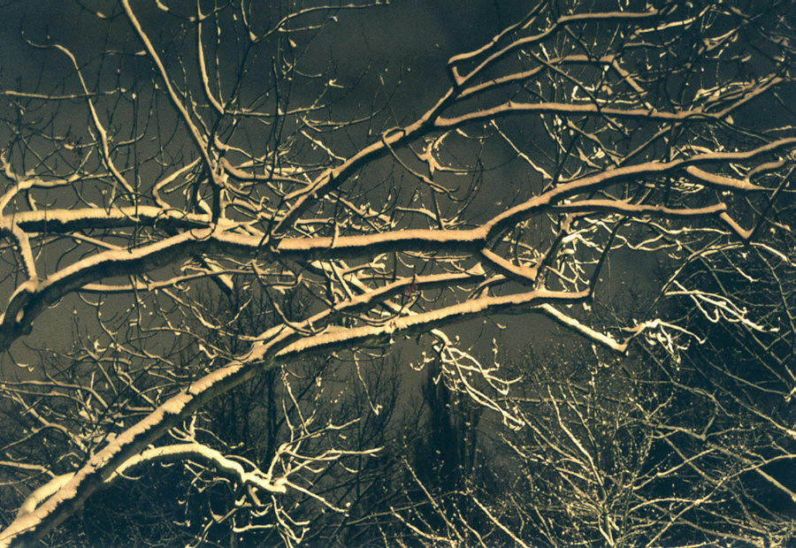 Christian Erdmann, Aljoscha der Idiot, Leseprobe. Foto: Christian Erdmann.