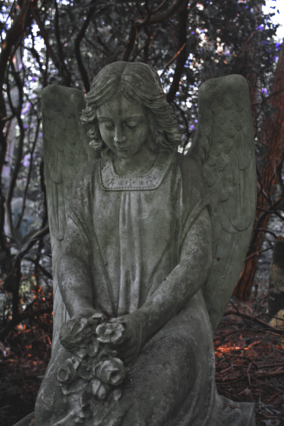 Friedhof Ohlsdorf Hamburg. Ohlsdorf Cemetery Hamburg. Foto von Christian Erdmann.
