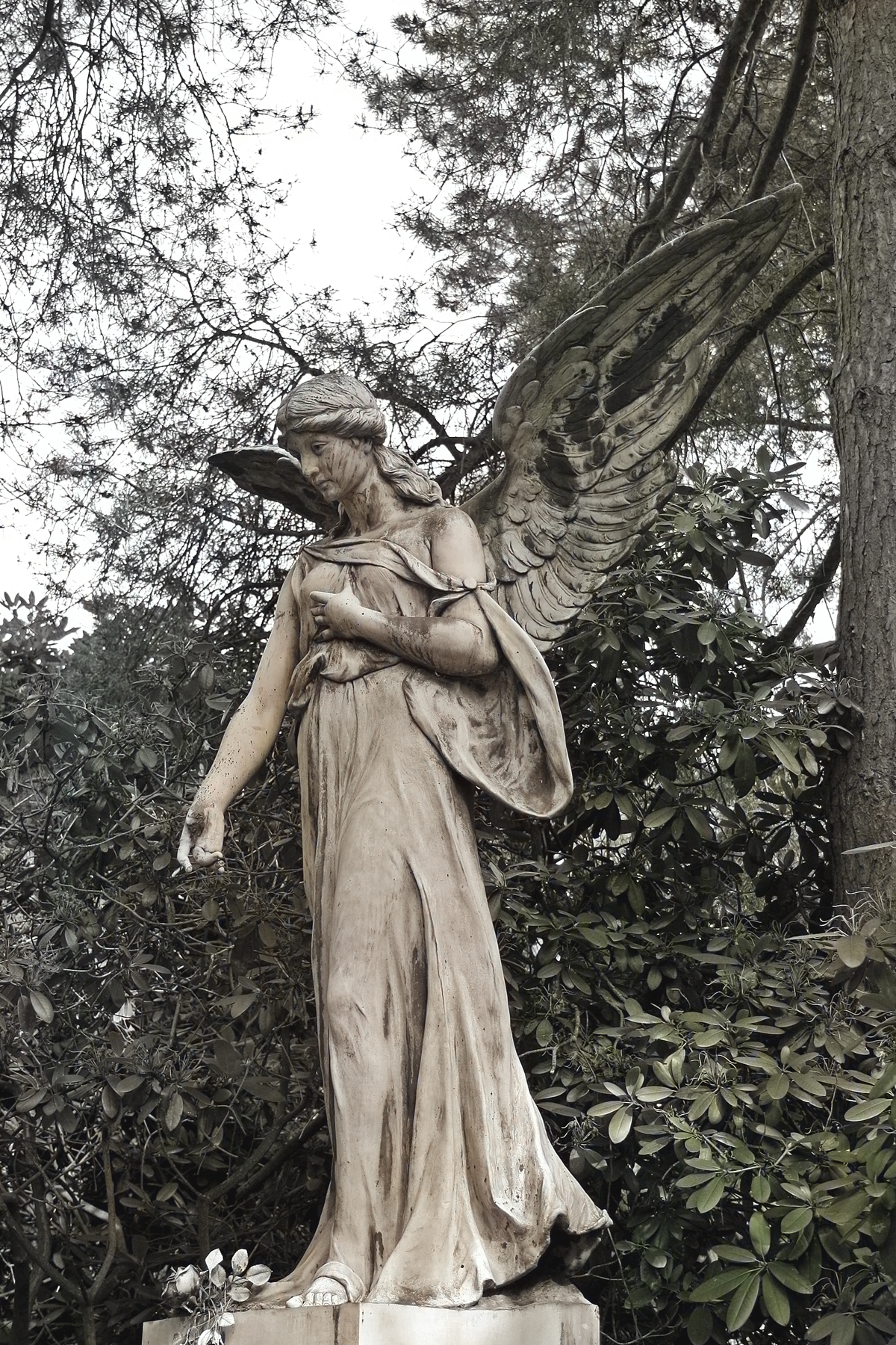 Friedhof Ohlsdorf Hamburg. Ohlsdorf Cemetery Hamburg. Foto von Christian Erdmann.