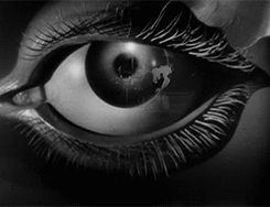 Parforceritt durch die Welten des Bewusstseins. Rezension zum Roman "Aljoscha der Idiot" von Christian Erdmann.