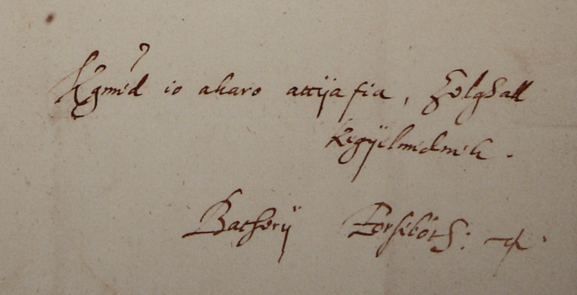 Elisabeth Bathory, Brief.