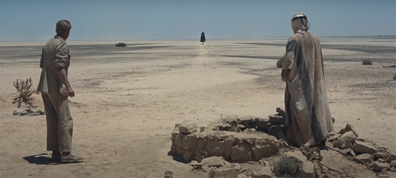 Peter O'Toole in "Lawrence von Arabien" ("Lawrence of Arabia"), 1962, Regie David Lean.