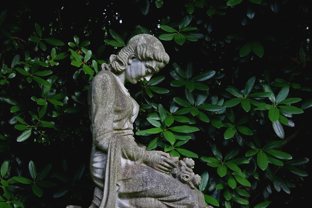 Friedhof Ohlsdorf, Hamburg. Ohlsdorf Cemetery. Foto Christian Erdmann.