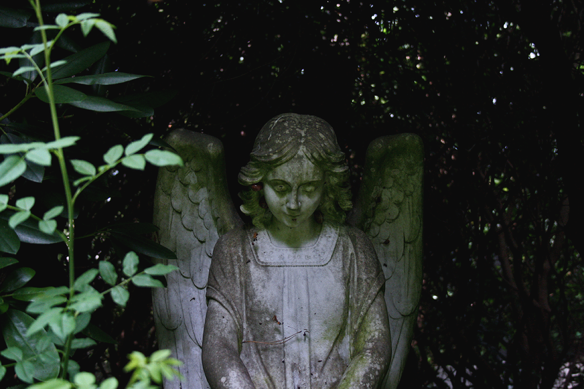 Friedhof Ohlsdorf, Hamburg. Ohlsdorf Cemetery. Foto Christian Erdmann.