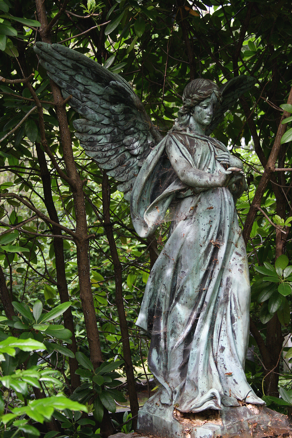 Friedhof Ohlsdorf, Hamburg. Ohlsdorf Cemetery. Foto Christian Erdmann.
