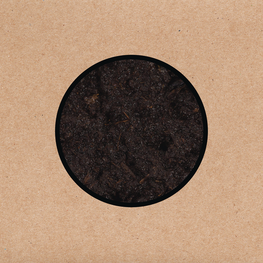 Today's Best Song Ever: Swans - I Am A Tower. 