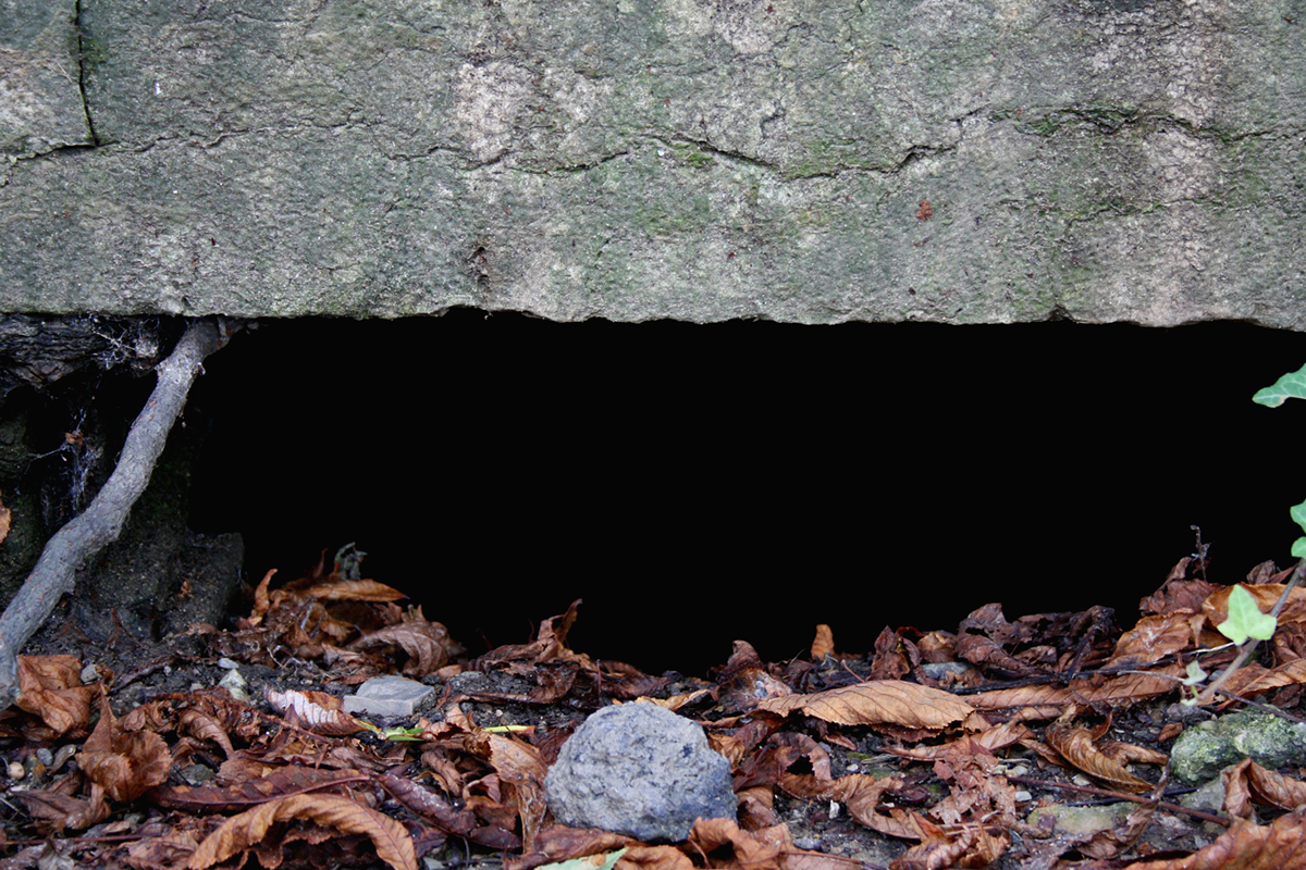 Friedhof Olšany, Prag. Foto Christian Erdmann.