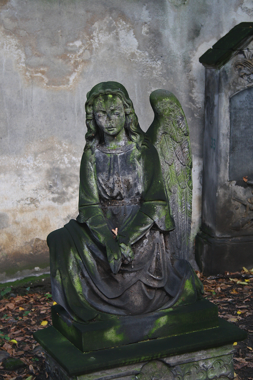 Friedhof Olšany, Prag. Foto Christian Erdmann.