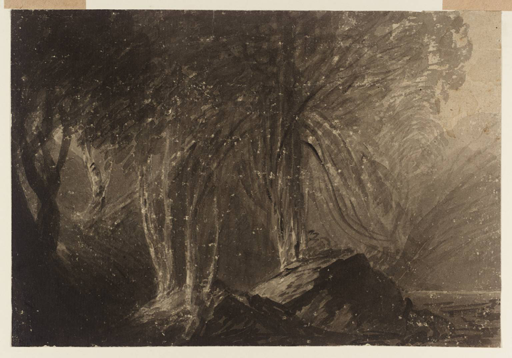 John Martin: Trees.