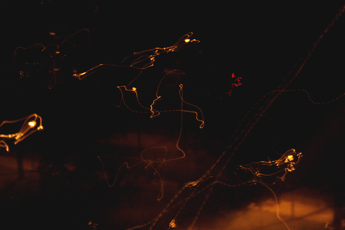 Ghosts at Kinsky Garden, Prague.