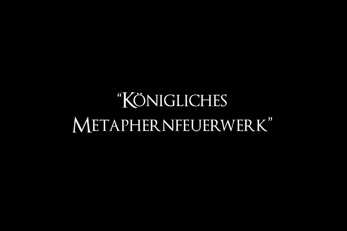 Königliches Metaphernfeuerwerk: über den Roman "Aljoscha der Idiot" von Christian Erdmann.