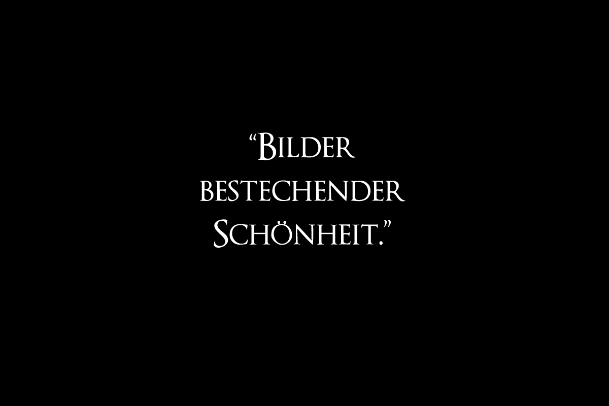 "Bilder bestechender Schönheit": Rezension zu "Aljoscha der Idiot" von Christian Erdmann.