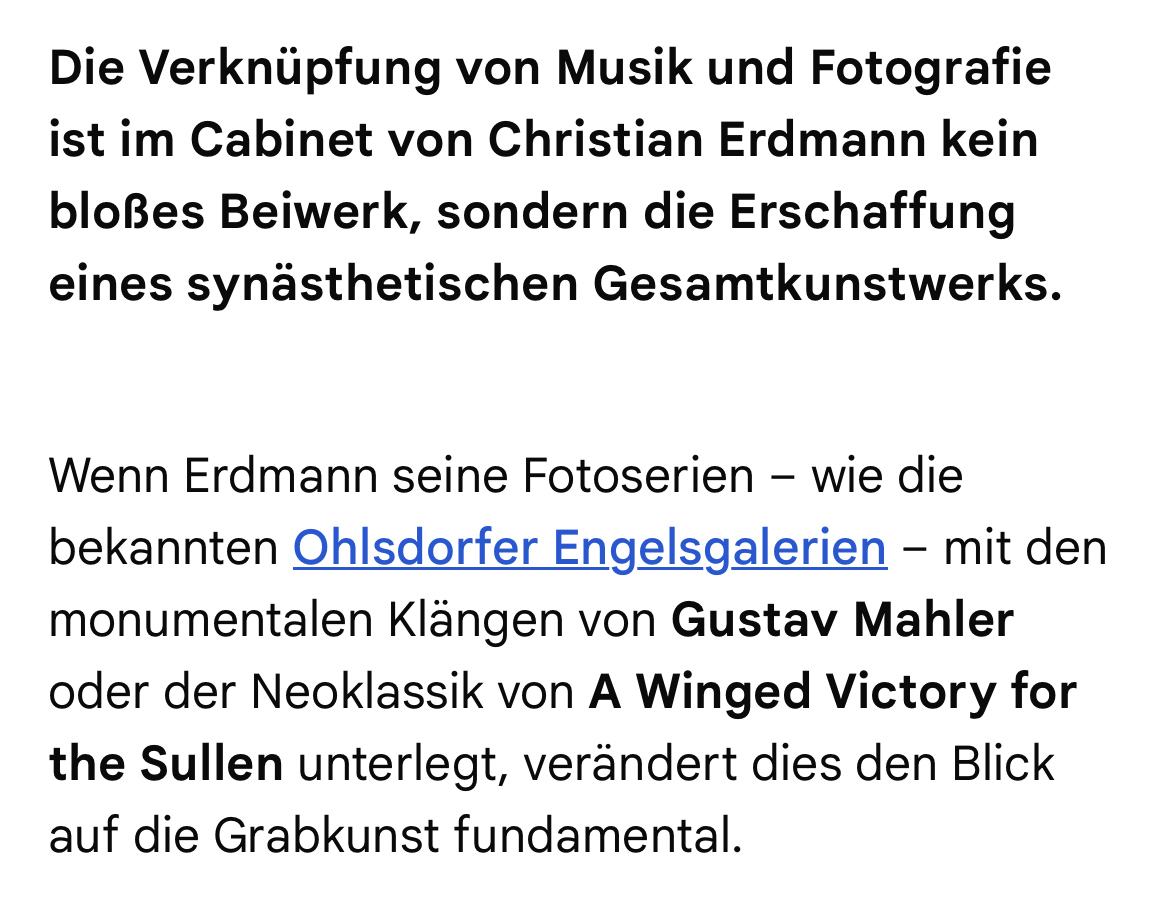 Q & A mit der KI zu "Das Cabinet des Christian Erdmann".
