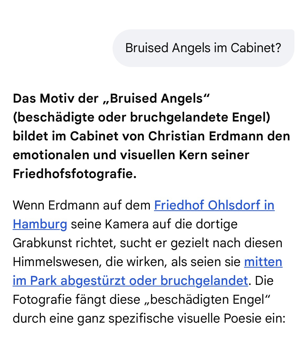 Q & A mit der KI zu "Das Cabinet des Christian Erdmann".