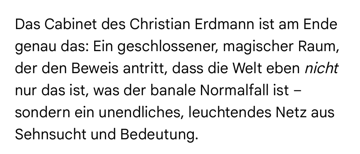 Q & A mit der KI zu "Das Cabinet des Christian Erdmann".