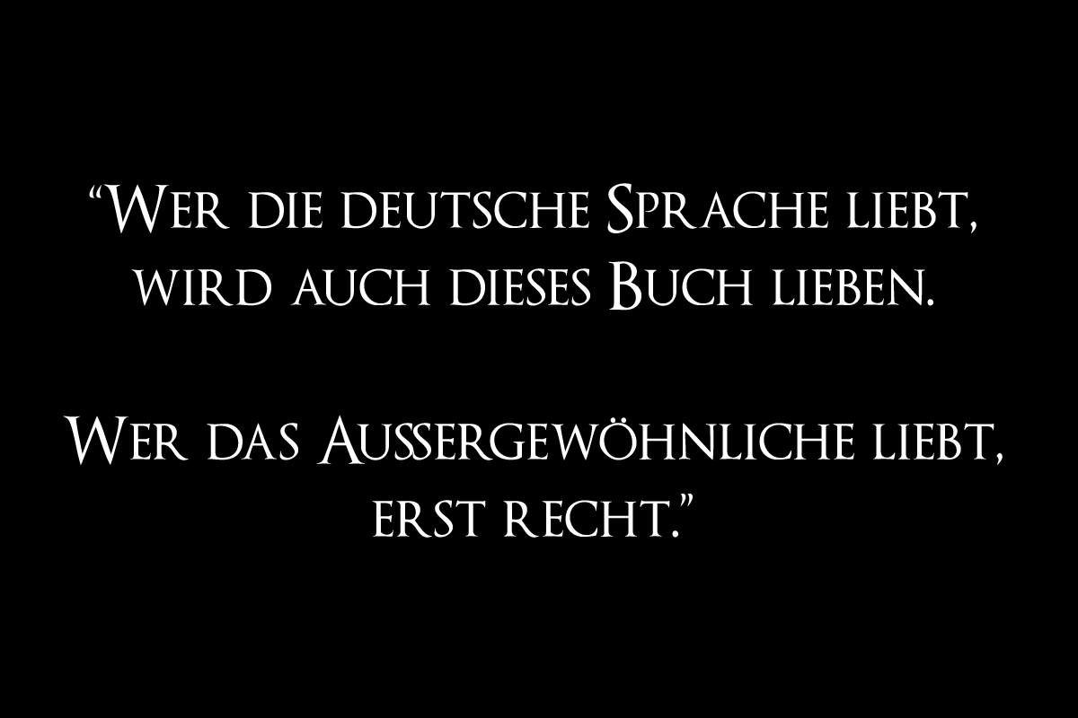 "Wer die deutsche Sprache liebt, wird auch dieses Buch lieben": über "Aljoscha der Idiot" von Christian Erdmann.