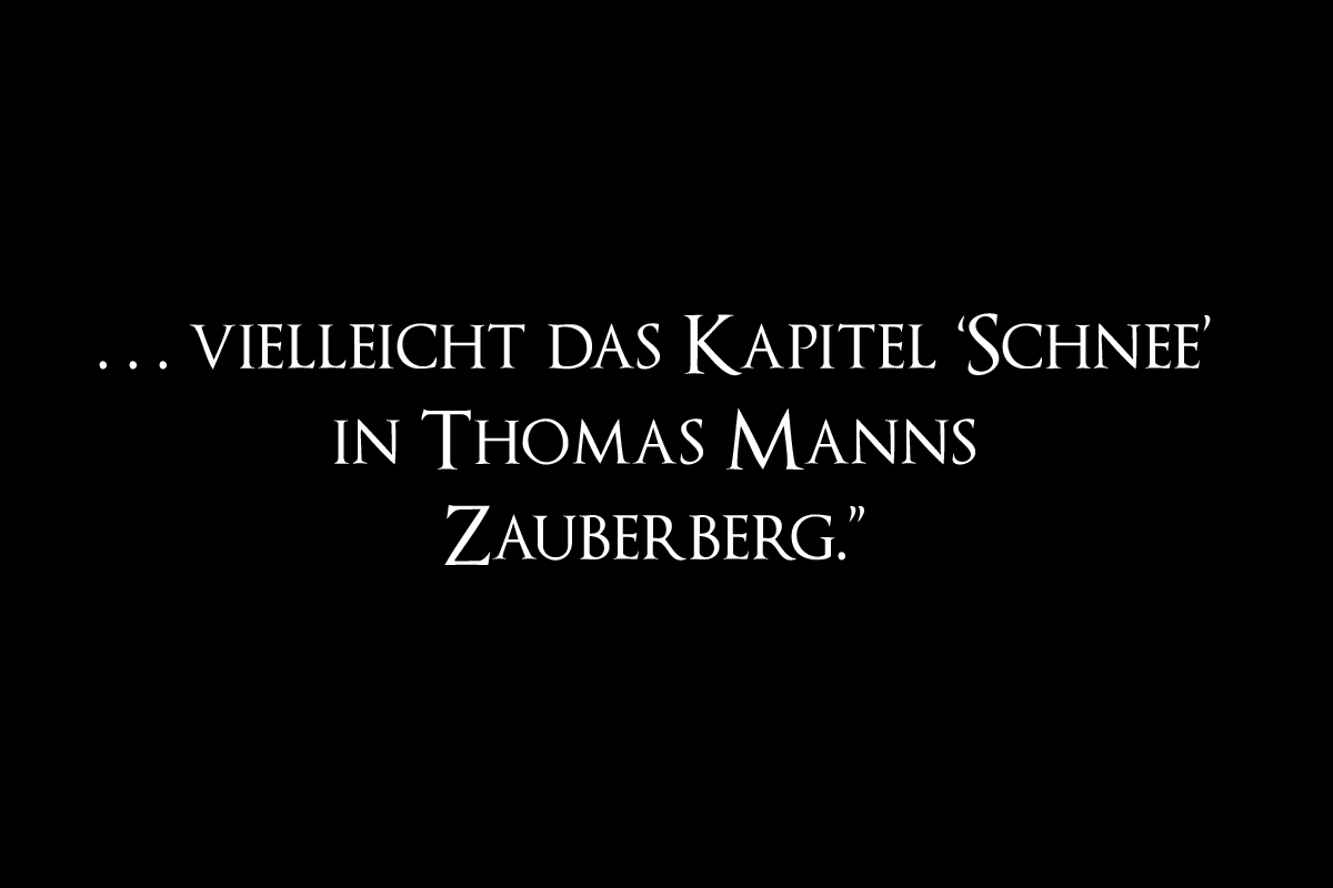 Vergleich mit Schnee-Kapitel aus Thomas Manns Zauberberg: aus einer Rezension zu Christian Erdmanns Roman "Aljoscha der Idiot".